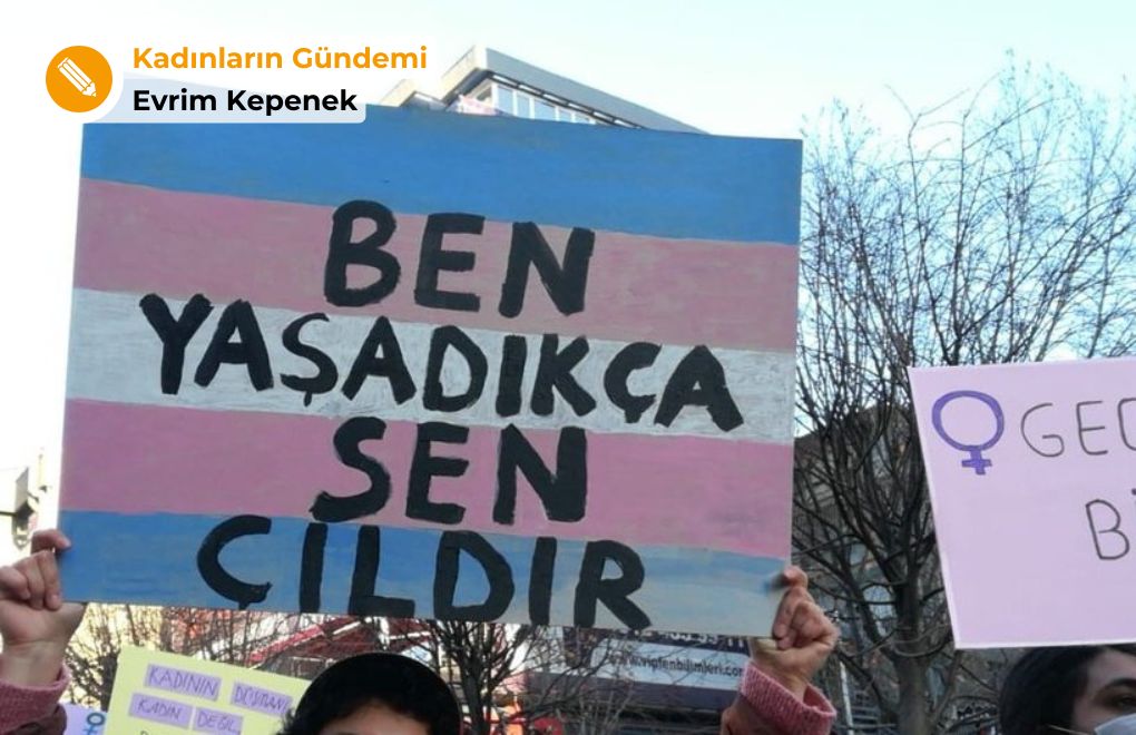 Trans kadın Rüzgar'ın sesini duyan var mı? - Toplumsal Cinsiyet Odaklı Habercilik Kütüphanesi