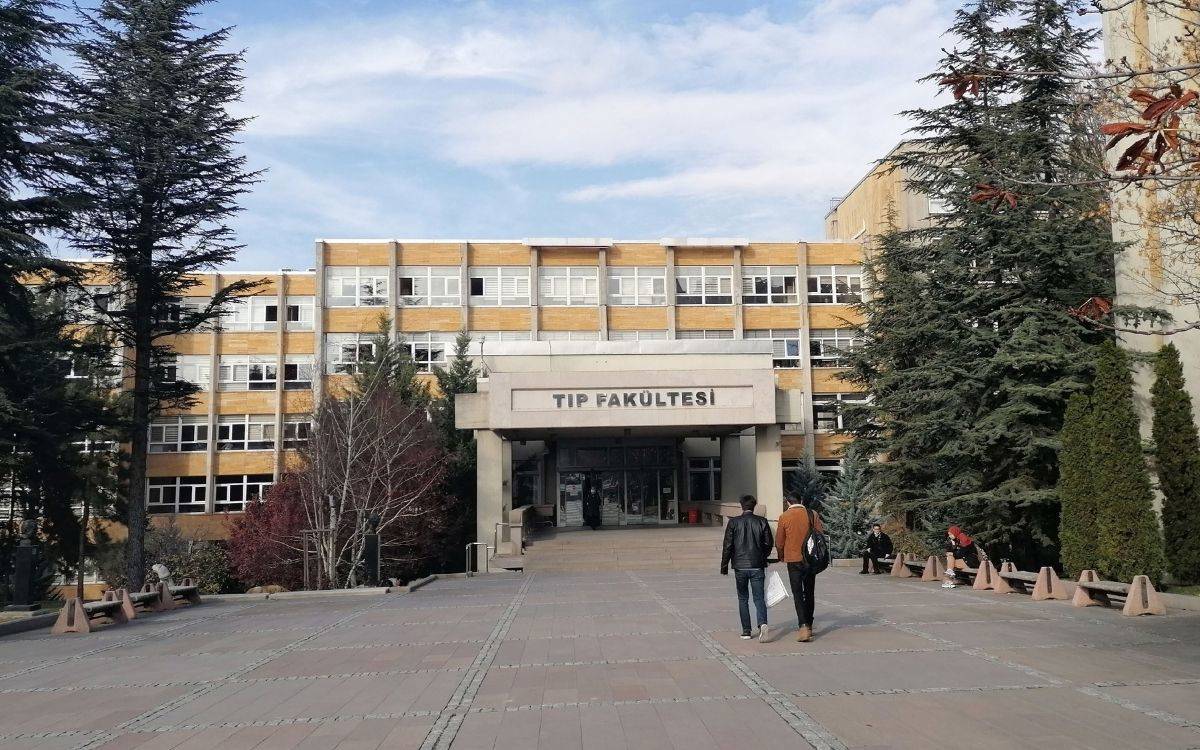 TTB Yönergesi sonrası cinsel şiddet başvuruları dört kat arttı - Toplumsal Cinsiyet Odaklı Habercilik Kütüphanesi