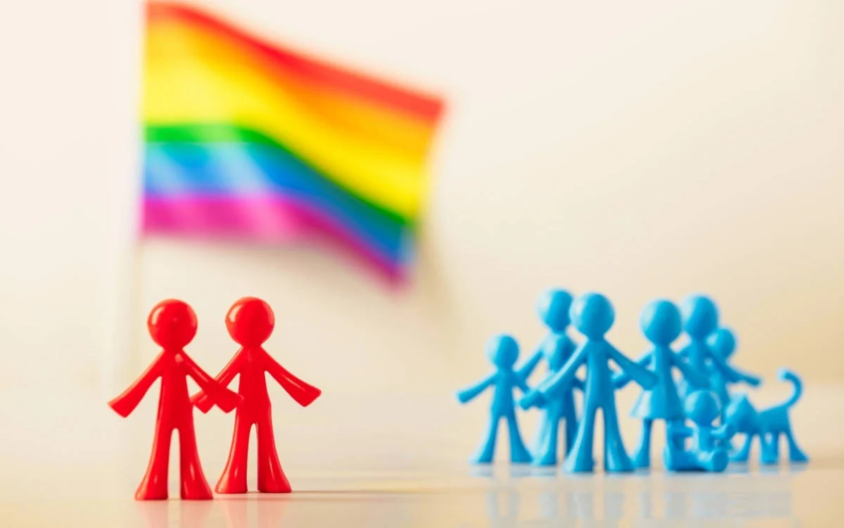 212 kurumdan LGBTİ+ karşıtı 12. Yargı Paketi’ne karşı açıklama - Toplumsal Cinsiyet Odaklı Habercilik Kütüphanesi